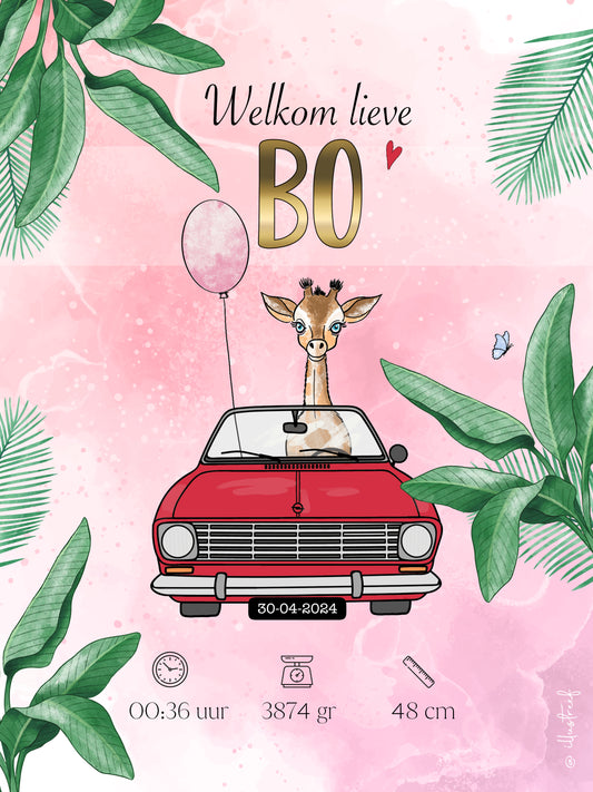 Geboorteposter (ingelijst)