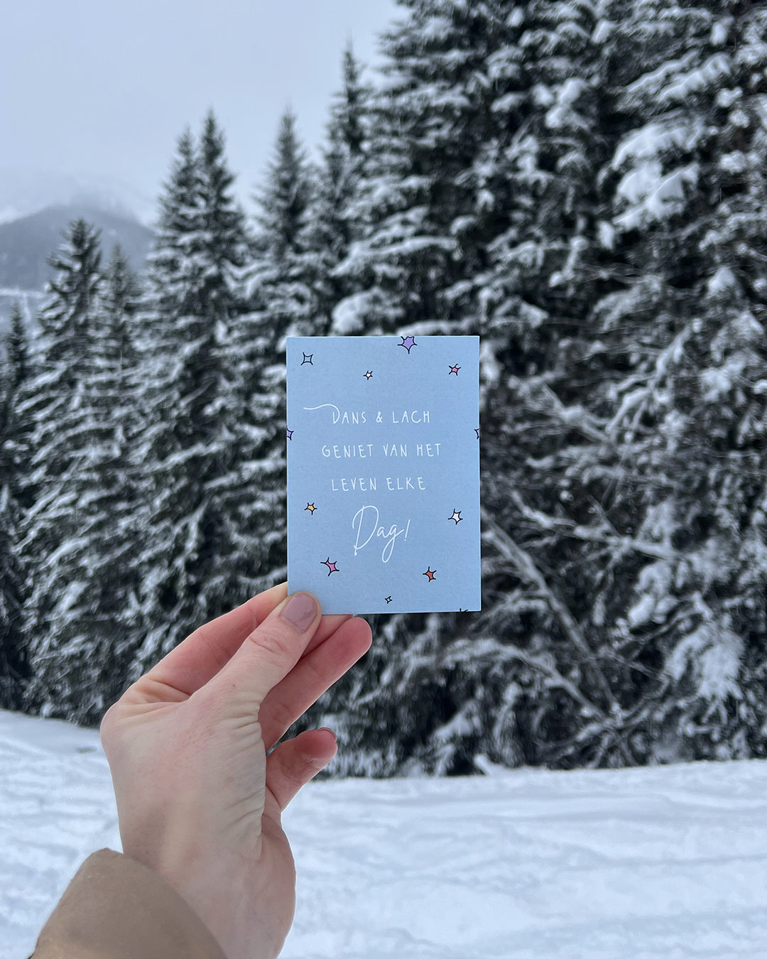 set 6 mini cadeaukaartjes