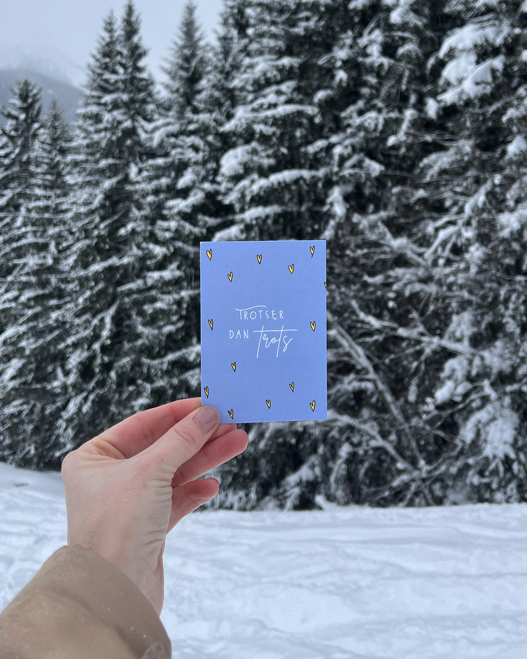 set 6 mini cadeaukaartjes